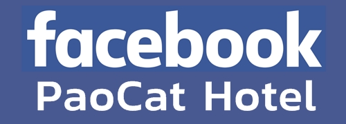 Facebook โรงแรมแมว PaoCat Hotel